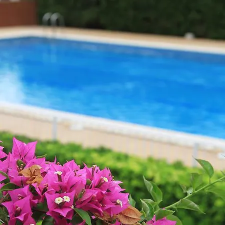 Campsite La Rueda 3*